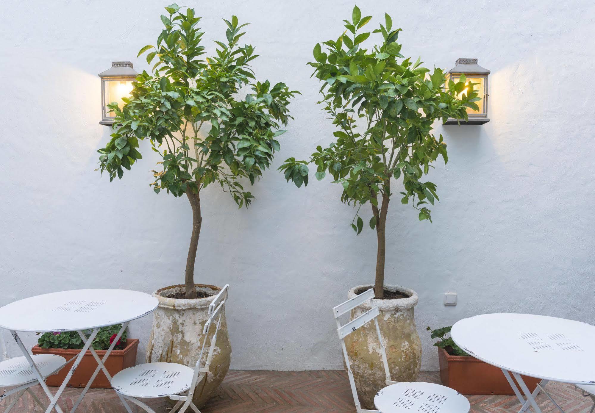 Hotel Casa Shelly Hospederia Vejer de la Frontera Zewnętrze zdjęcie